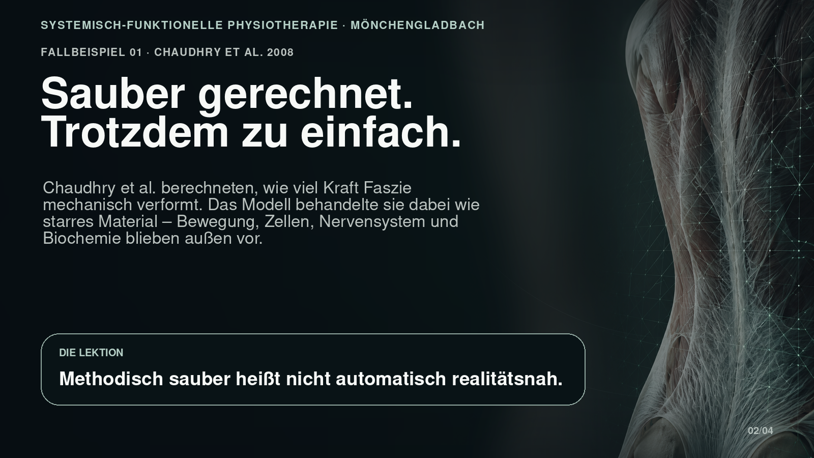 Anatomische Darstellung: mathematisches Modell im Vergleich zu lebendem Fasziengewebe