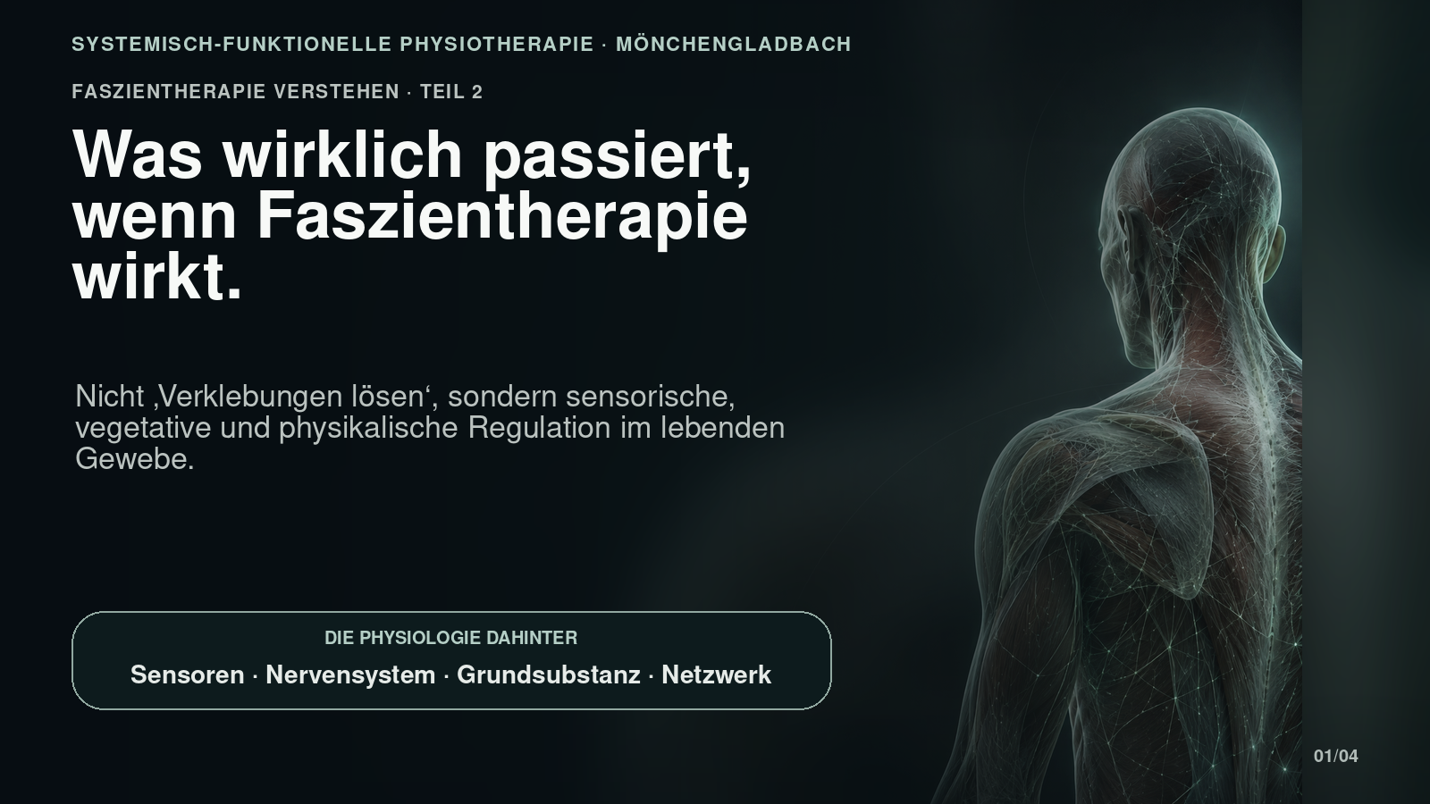 Was bei Faszientherapie wirklich passiert – Nervensystem statt mechanischem Release