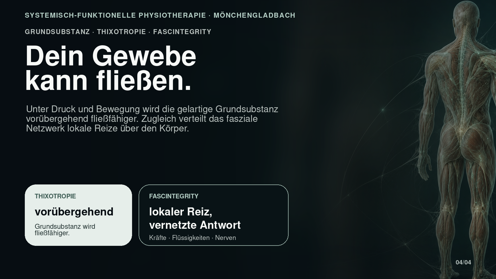 Thixotropie und Fascintegrity: fließfähige Grundsubstanz im vernetzten Bindegewebe