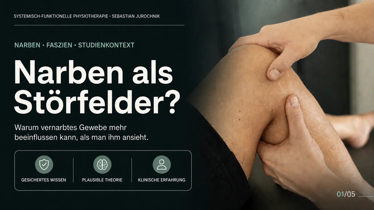 Narben als Störfelder: gesichertes Wissen, plausible Theorie und klinische Erfahrung