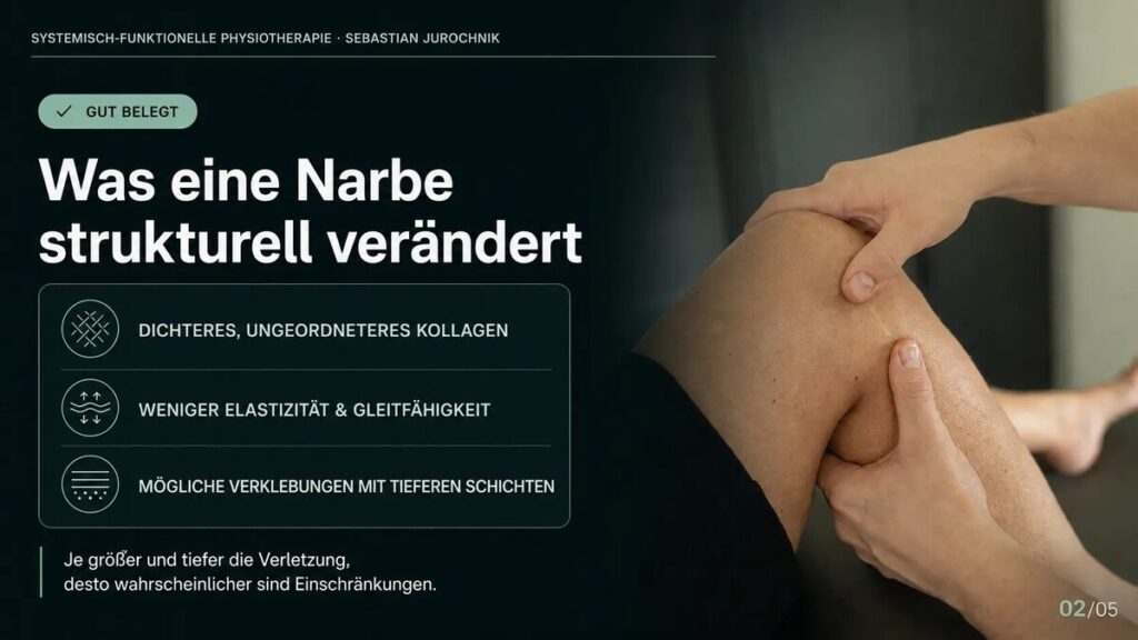Strukturelle Veränderungen von Narbengewebe: Kollagen, Elastizität und Verklebungen