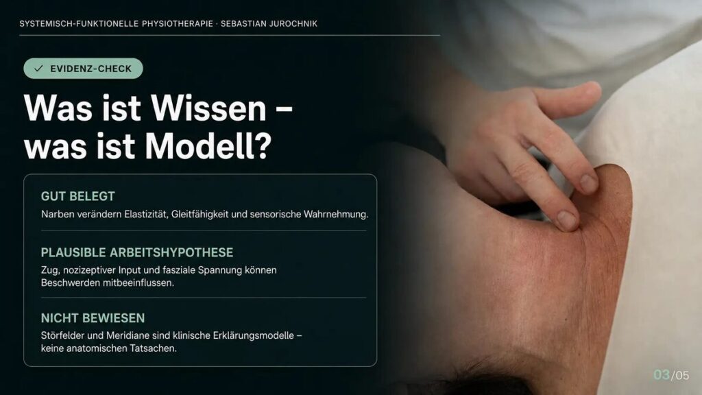 Evidenz-Check zu Narben: gesichertes Wissen, plausible Arbeitshypothese und nicht bewiesene Modelle